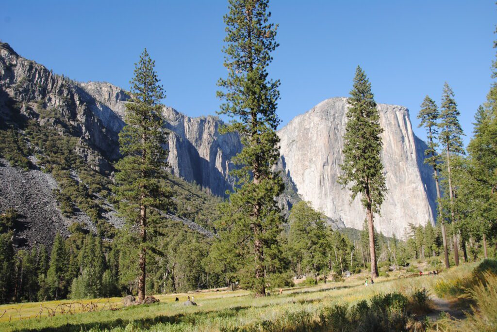 consejos para viajar a yosemite