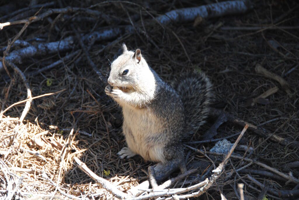 donde esta yosemite valley