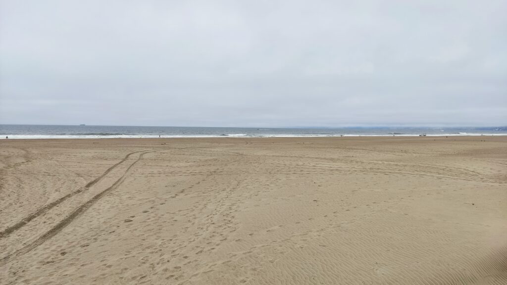 q ver en san francisco