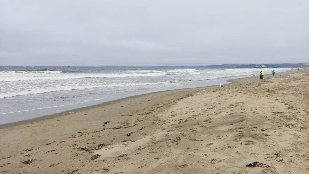 san francisco que ver