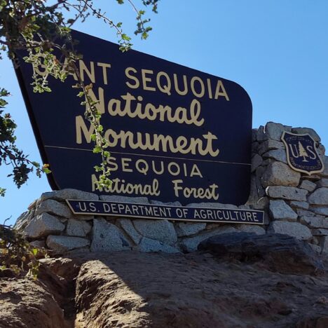 Annual Pass de parques Nacionales de EEUU. TODO lo que debes saber