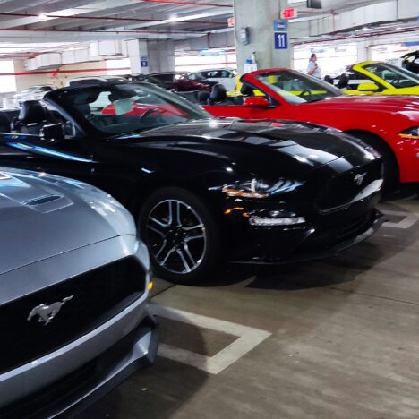 Consejos para viajar a San Francisco