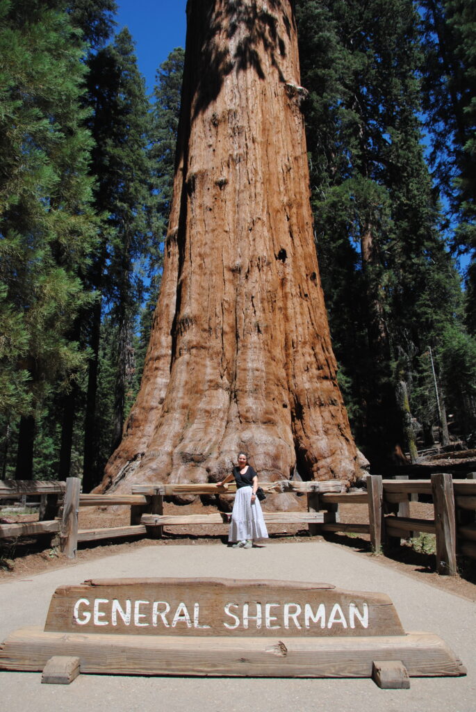 parque nacional de las secuoyas