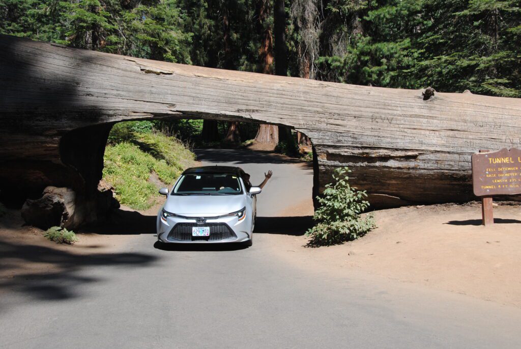 sequoia np