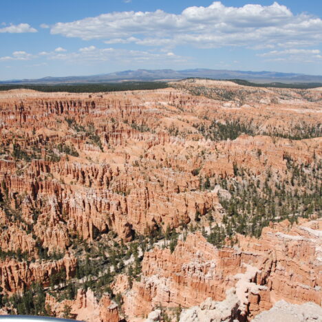 Visitando el Gran Cañón del Colorado
