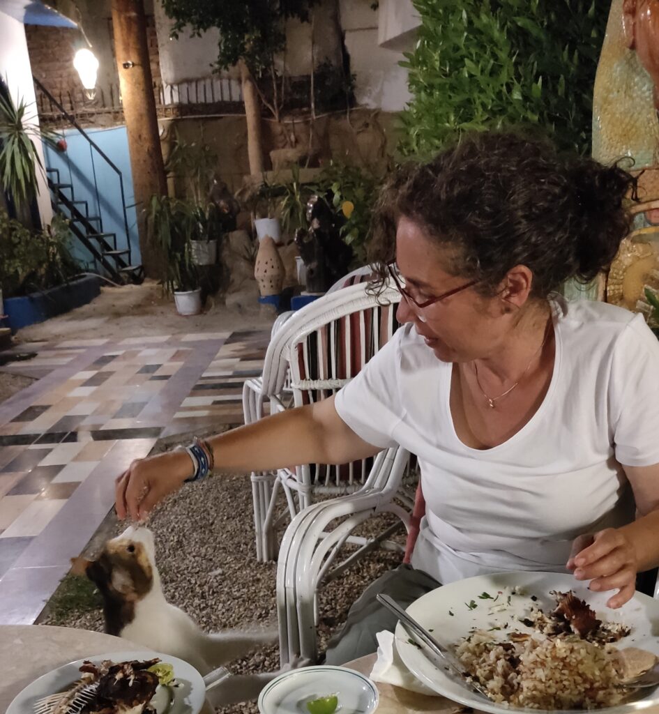 actividades en luxor