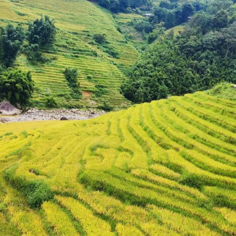 15 Dias en Vietnam, diario de viaje (Parte 3)