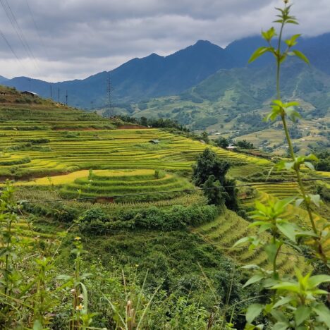 Cuatro días en el Cairo