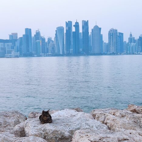 15 Días en Vietnam, diario de viaje (Parte 6) Crucero por la Bahía de Halong