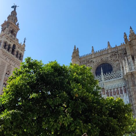 Zúrich en 48 horas, que ver en Zúrich