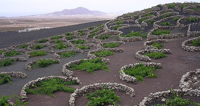 la geria lanzarote