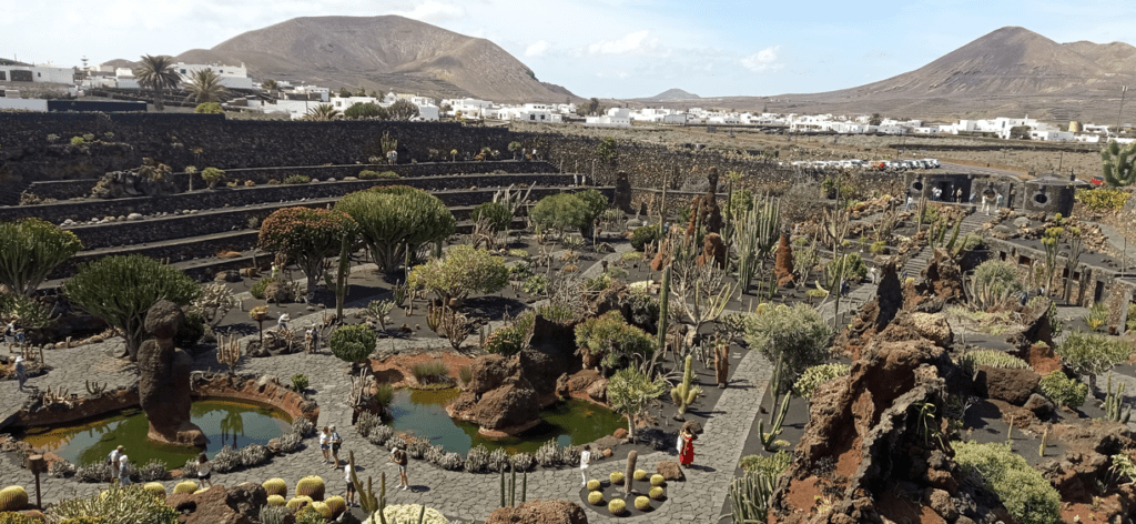 jardin de los cactus