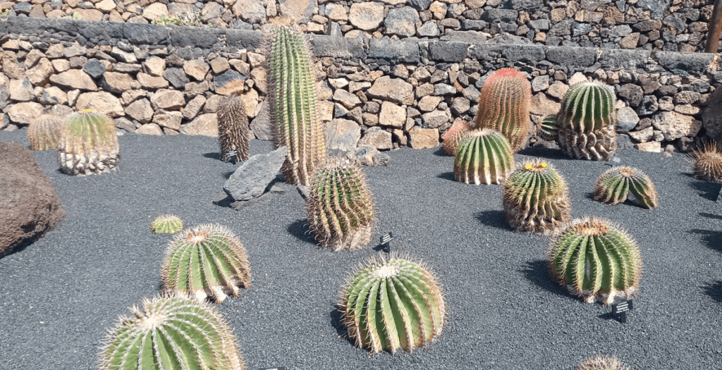 cosas para hacer en lanzarote