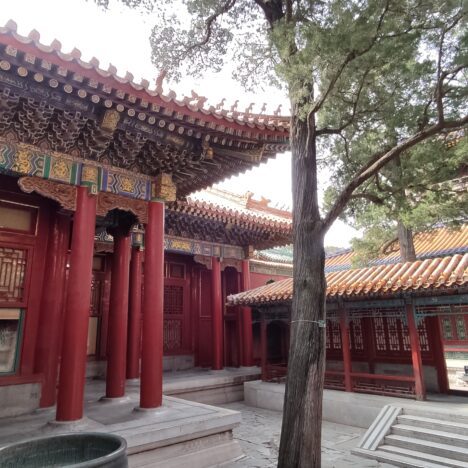 Descubre el Monasterio Colgante y las Cuevas de Yungang en China
