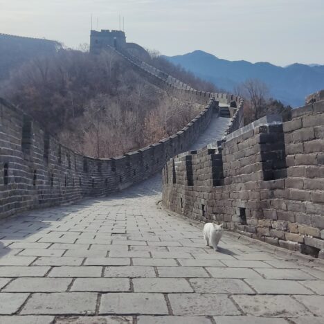 Viena en diciembre, que ver en 3 días