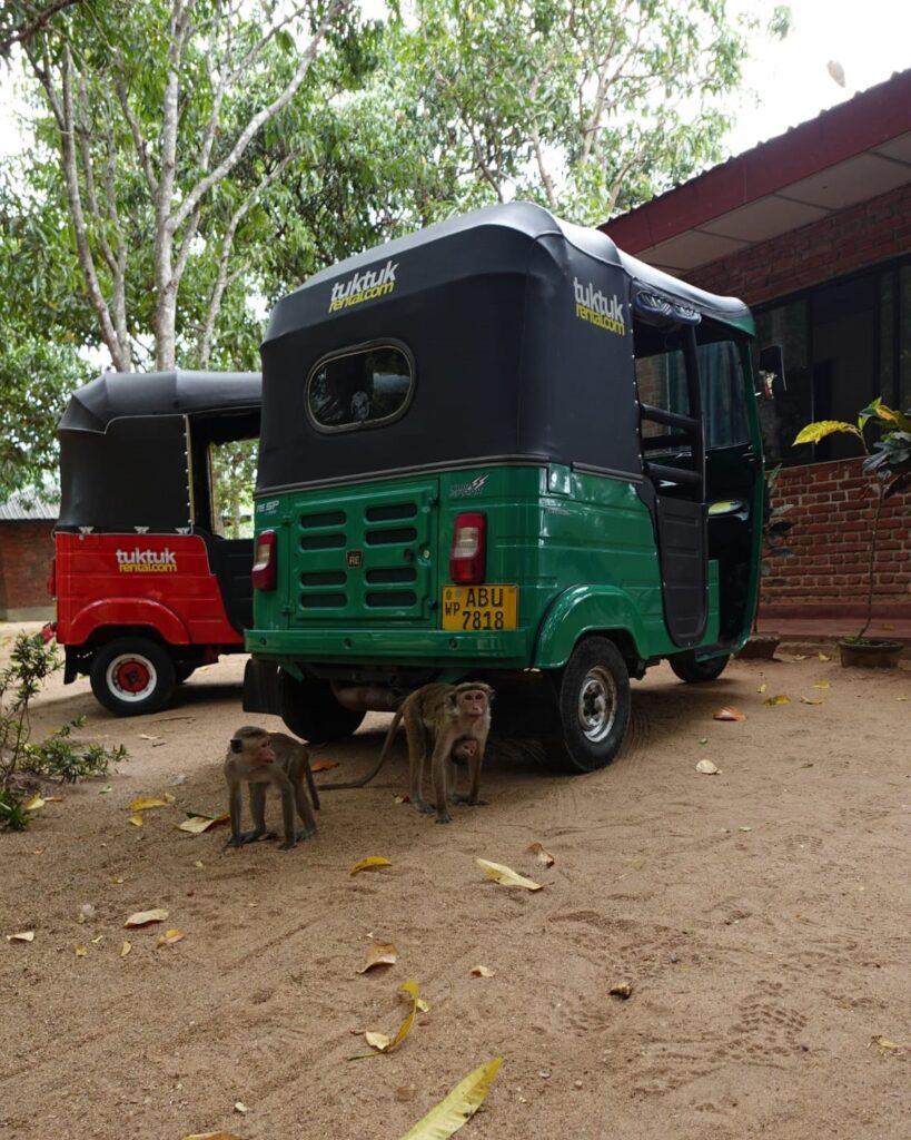 alquiler tuk tuk negombo