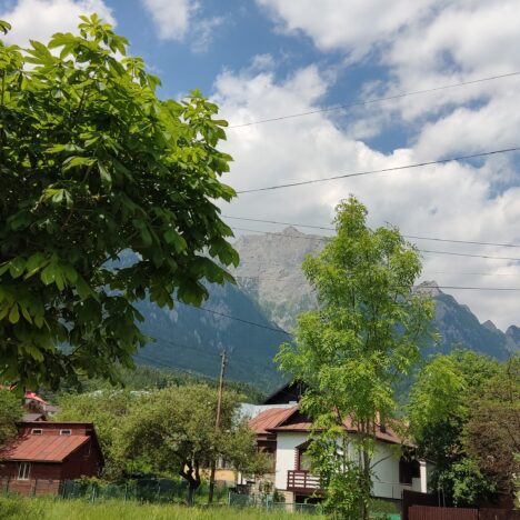 Oceanografic de Valencia. Guía completa antes de ir.