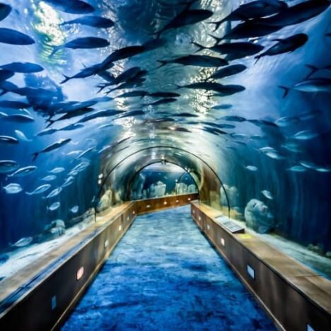 Qué ver en Rumanía en 7 días, ruta por Transilvania y Bucarest