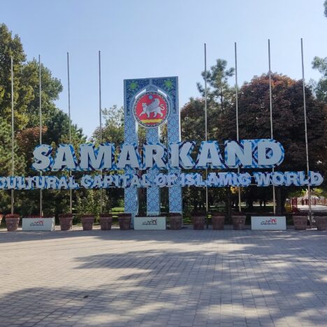 Surf camp Lanzarote. Opiniones Calima Surf ¿merece la pena?