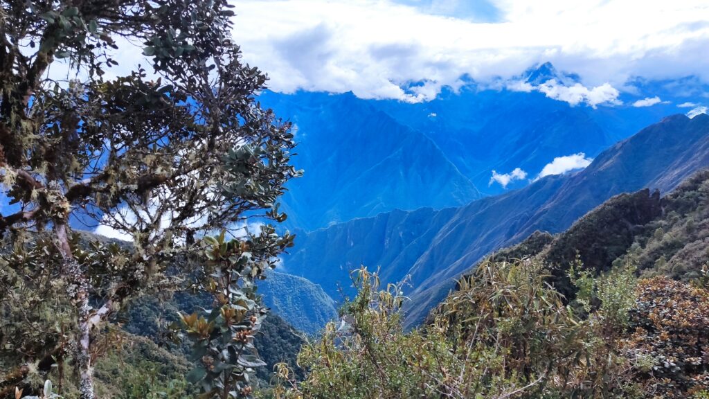 Camino Inca, Inca Trail