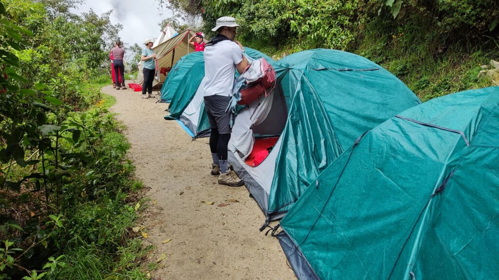 Camino Inca, Inca Trail
Campamento